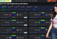 The Digital Evolution of Football Media and Real Time Information Access